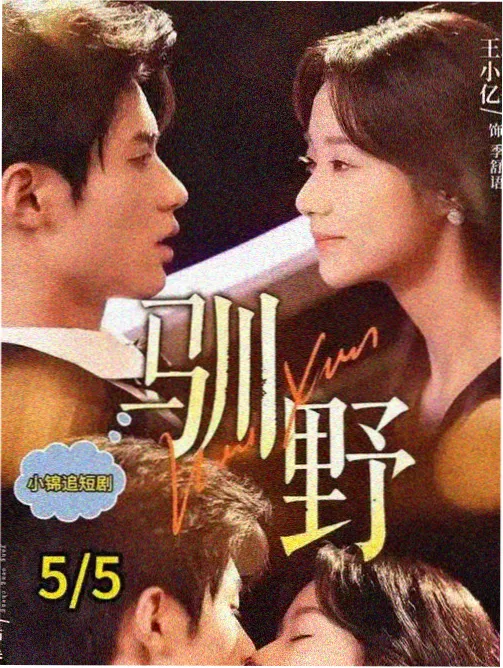 我们的小院剧集海报